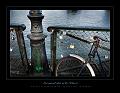 Le_pond_des_arts6_08_10n26