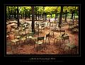 jardin_du_luxembourg13_08_10n04