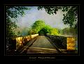 paysage28_05_10n08