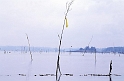 ph08