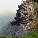 paysage08_04_11n02