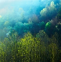 paysage08_04_11n03