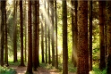 paysage18_04_11n02