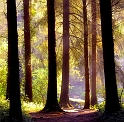paysage18_04_11n03