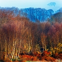paysage21_03_11n02