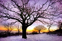 paysage25_12_10n01