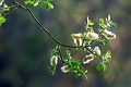 flore23_05_10n01