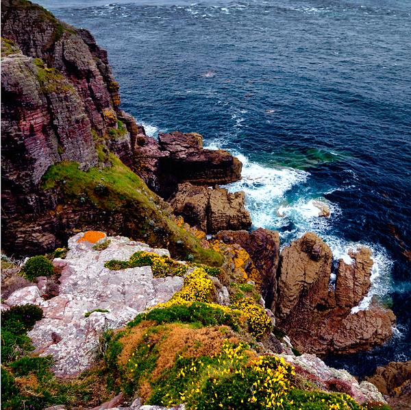 paysage12_08_11n03.jpg - .