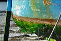 Brehat_15_02_09n05