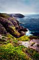 paysage12_08_11n02