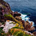 paysage12_08_11n03