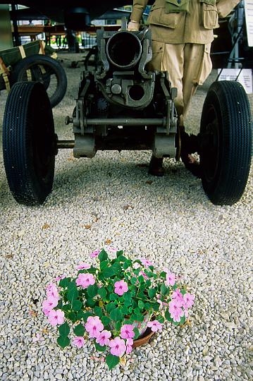 ph05.jpg