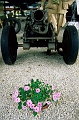 ph05