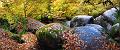 Duo_automne