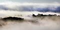 paysage7_08_11n04