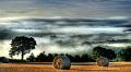 paysage7_08_11n05
