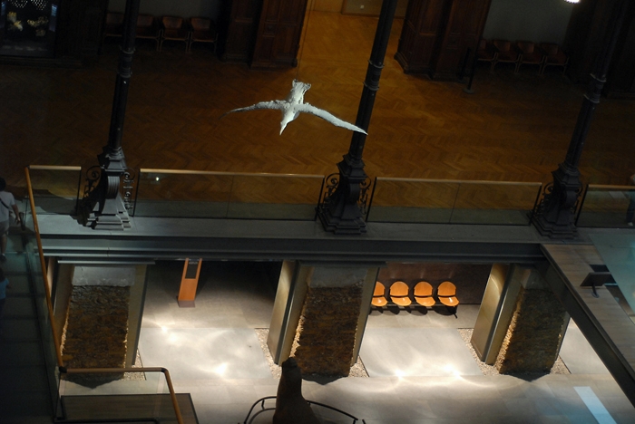 Museum_01.jpg - .