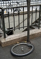 Rue_04