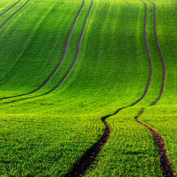 paysage06_01_12n02.jpg