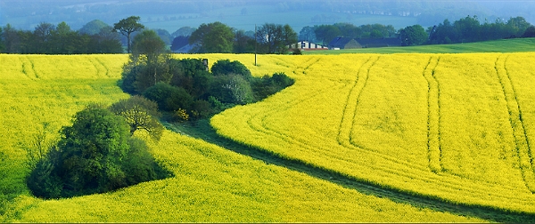 paysage08_0510n03.jpg