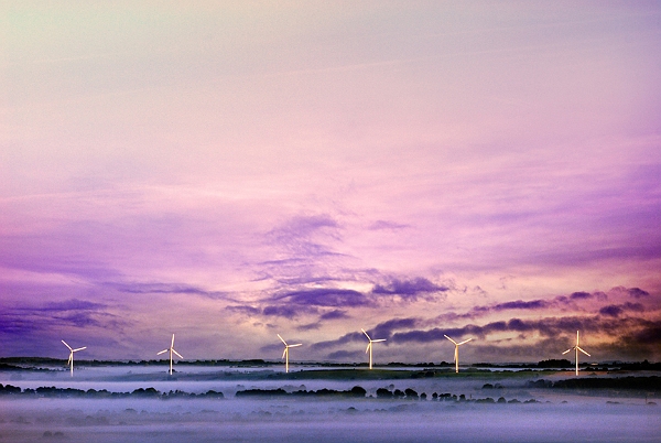 paysage10_08_2011n01.jpg