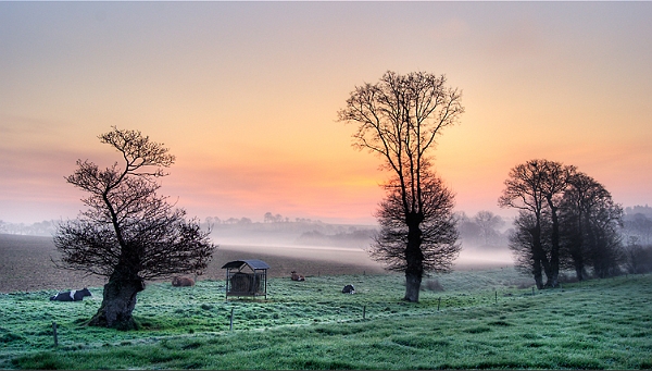 paysage18_04_10n02bis.jpg