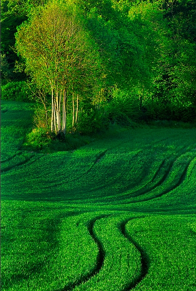 paysage22_05_10n02.jpg