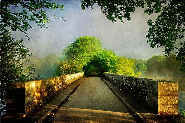 paysage28_05_10n08.jpg