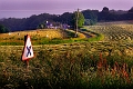 culture31_05_09n04_1