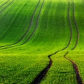 paysage06_01_12n02