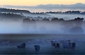 paysage15_08_11n01
