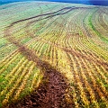 paysage16_04_11n01