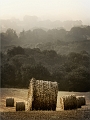 paysage18_08_11n06
