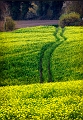 paysage21_11_10n01