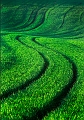 paysage22_05_10n01