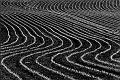 paysage28_05_10n07