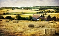 paysage3_07_11n03