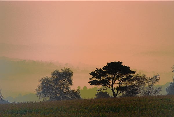 Brouillard20_09_08n03.jpg