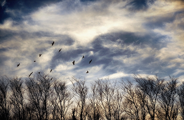 Ciel27_12_11n01.jpg