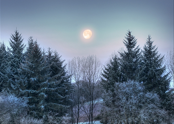 Paysage02_01_10n02.jpg
