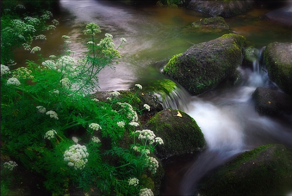 Paysage27_06_09n01.jpg