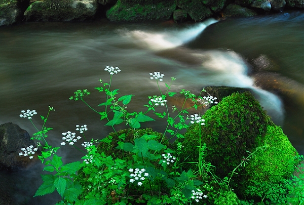 Paysage_14_06_09n01.jpg