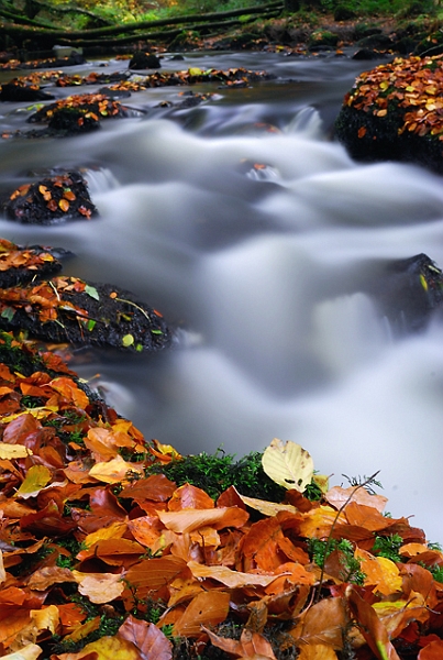 l'eau26_10_08n01.jpg