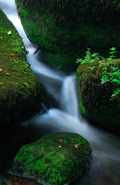 l'eau30_08_08n01.jpg