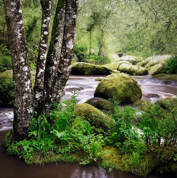 paysage01_05_11n01bis.jpg