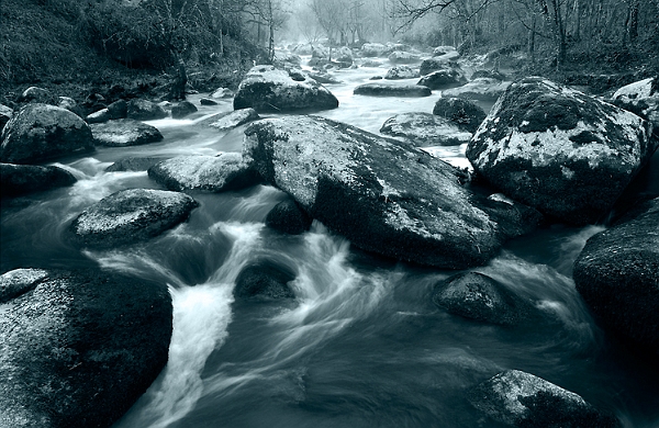 paysage09_04_10n01.jpg