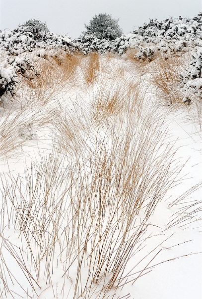 paysage19_12_09n04.jpg