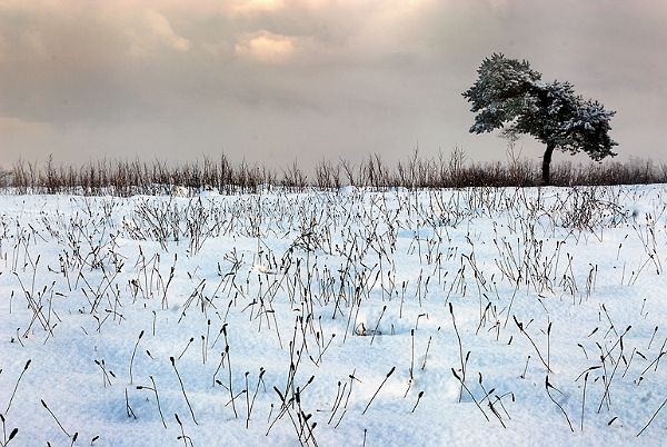 paysage19_12_09n05.jpg