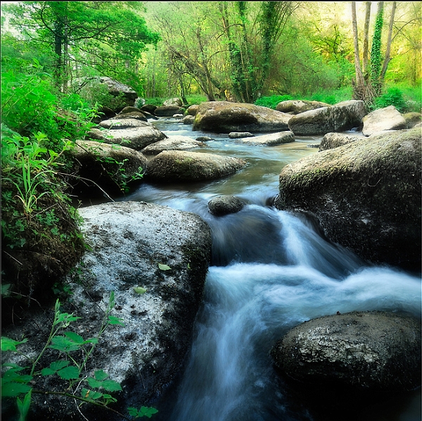 paysage23_05_10n06.jpg