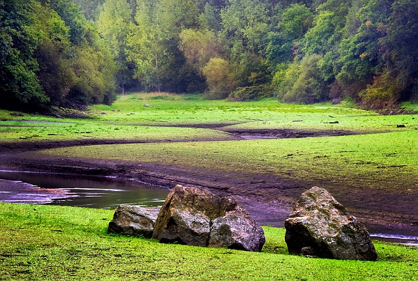 paysage4_09_11n01bis.jpg